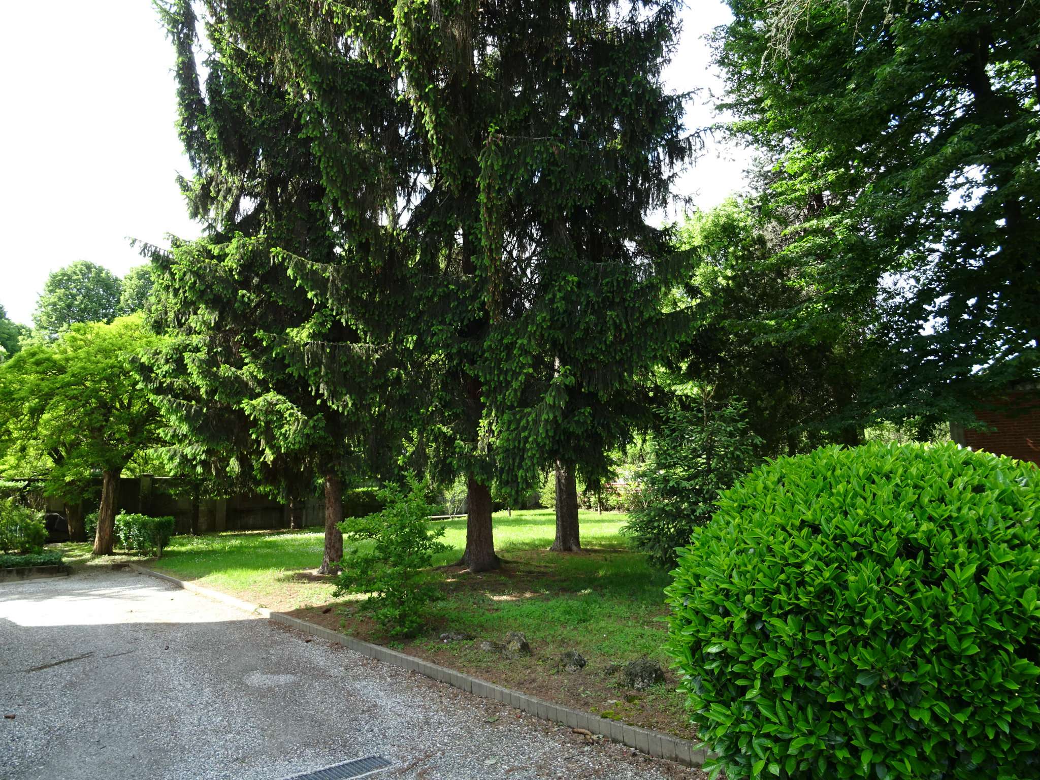 Loft VENARIA REALE vendita   Cavallo PANORAMA CASA