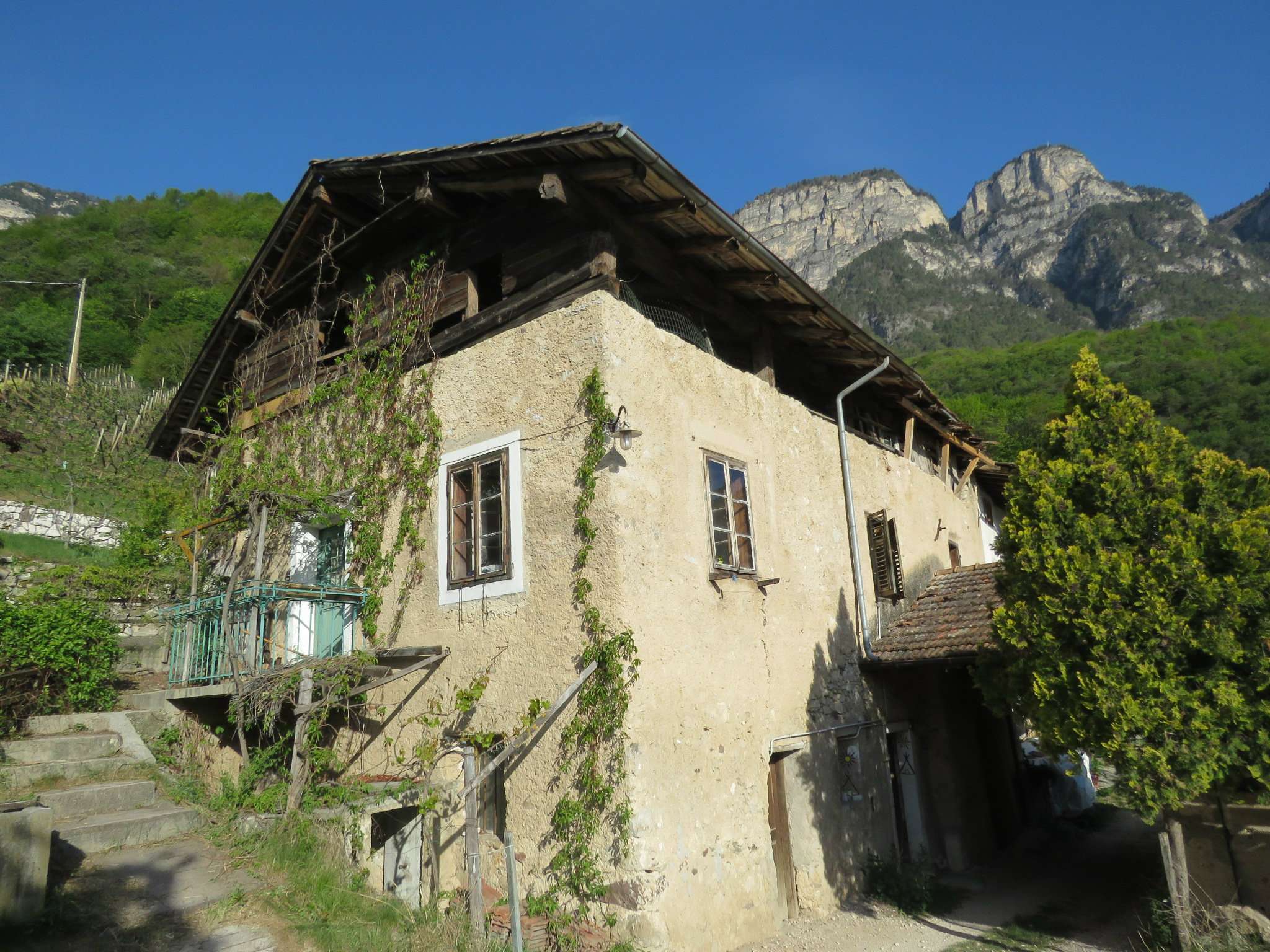  cortaccia sulla strada del vino vendita quart:  rimmo immobili alto adige