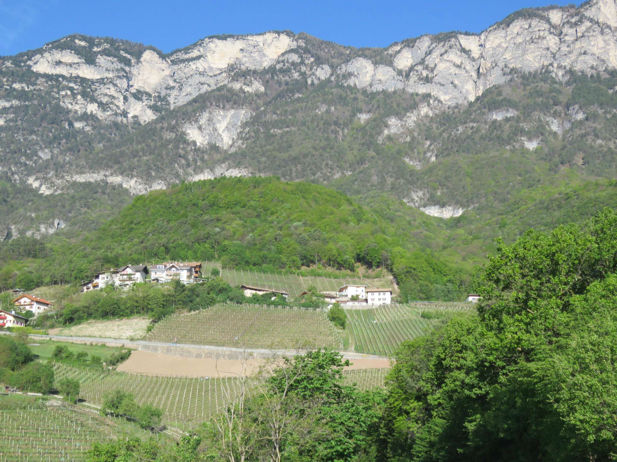 Rustico - Cascina CORTACCIA SULLA STRADA DEL VINO vendita    Rimmo Immobili Alto Adige