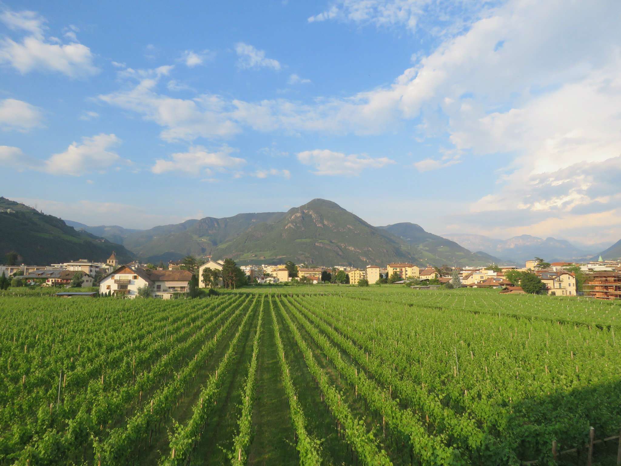  bolzano vendita quart:  rimmo-immobili-alto-adige