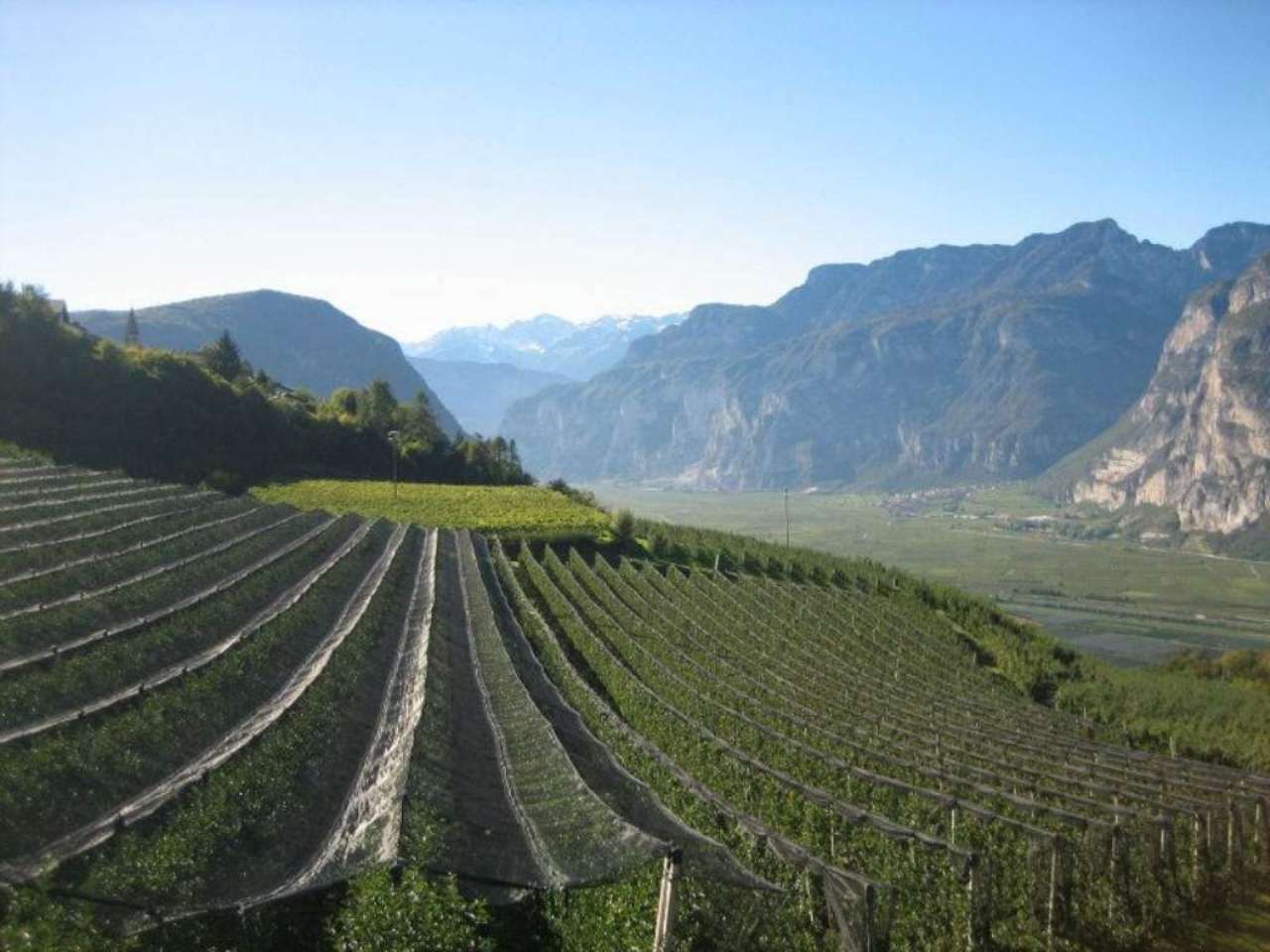 Villa Bifamiliare SALORNO vendita    Rimmo Immobili Alto Adige