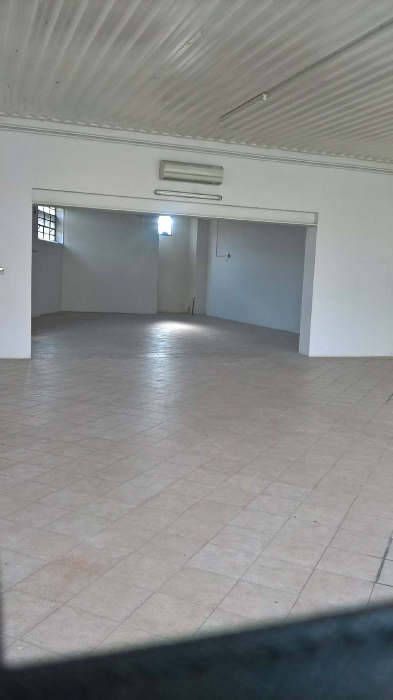  verona affitto quart: borgo venezia erredue-immobiliare