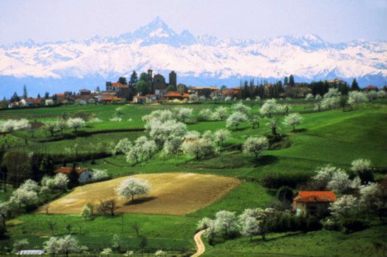 Appartamento PECETTO TORINESE vendita   Sabena GR IMMOBILI SAS