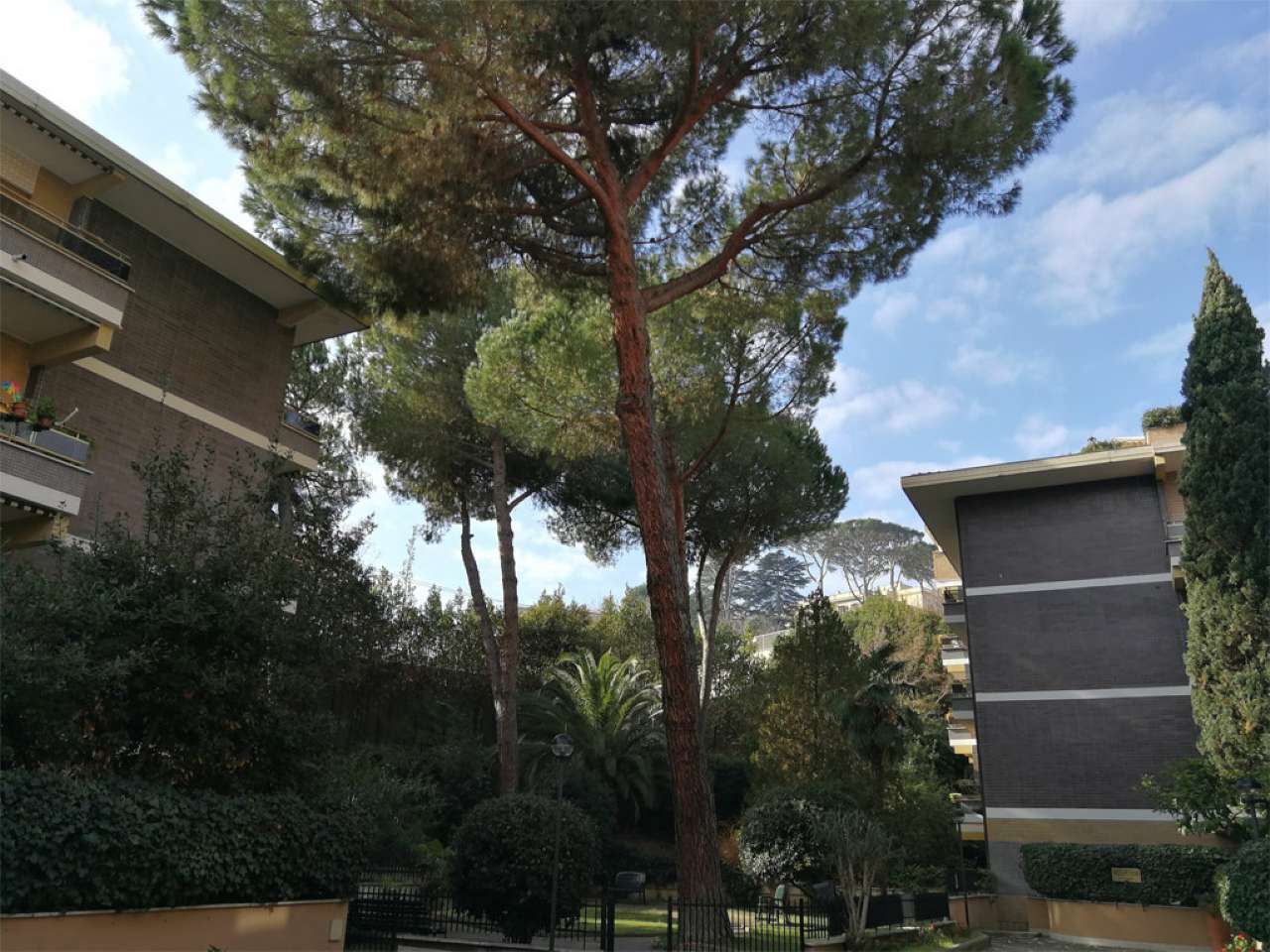  roma vendita quart: san pietro gruppo sole r.e. s.n.c.