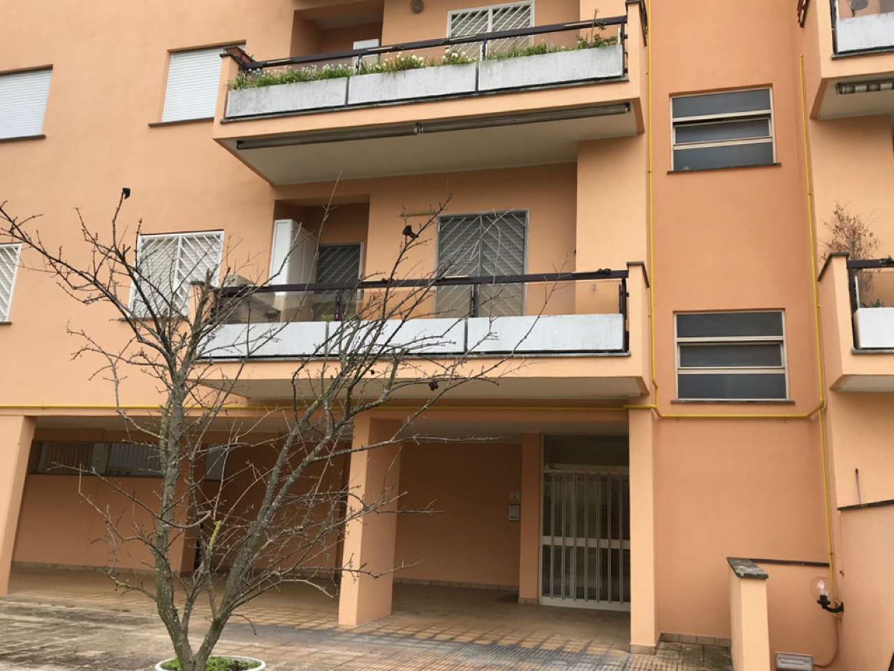 Appartamento ROMA vendita  CASALOTTI (ZONA DELLA XIX MUN.) Borgo Ticino Gruppo Sole R.E. S.N.C.