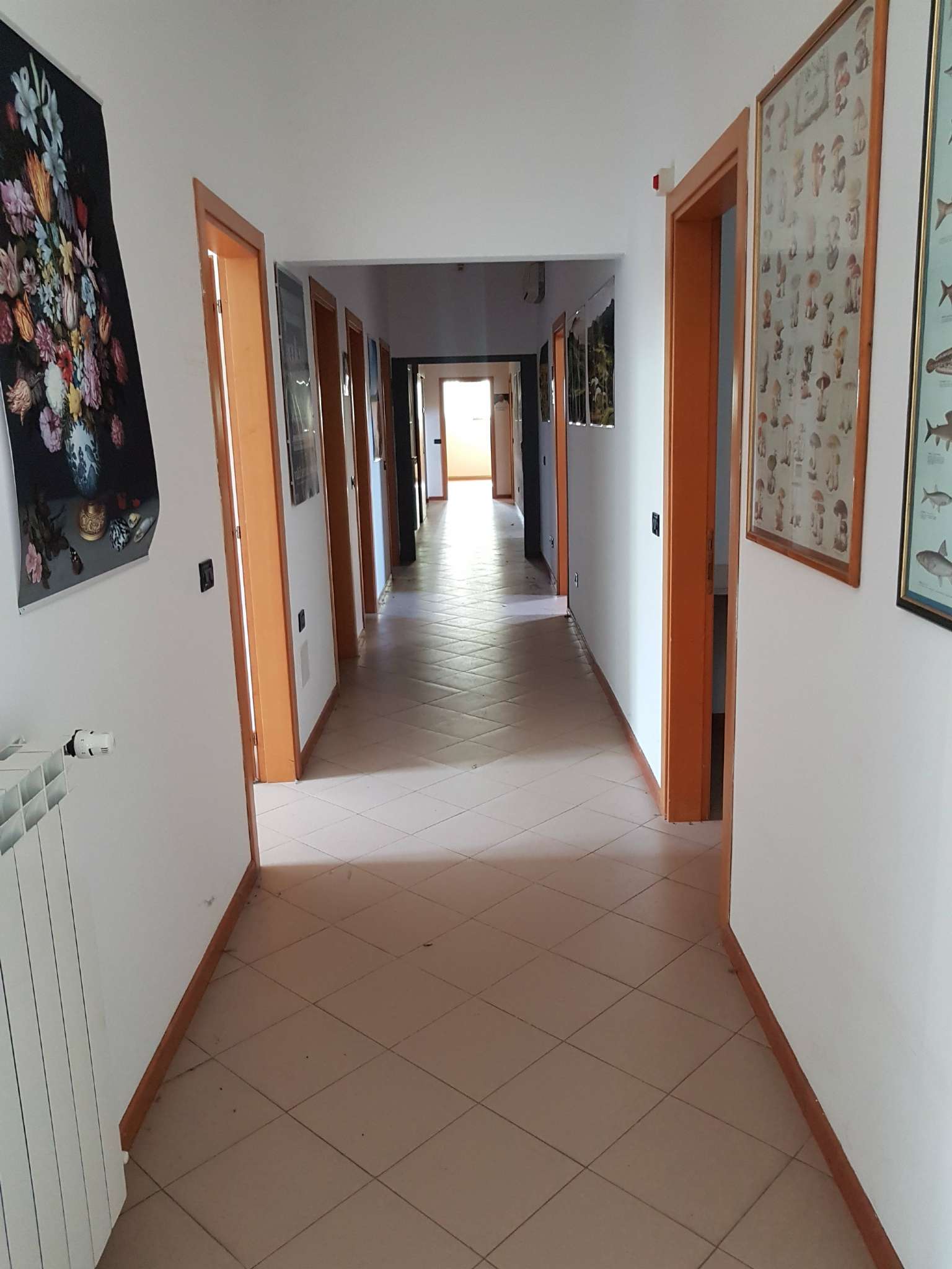 Ufficio - Loc.Com. AREZZO affitto    L'angolo Affitti e Vendite