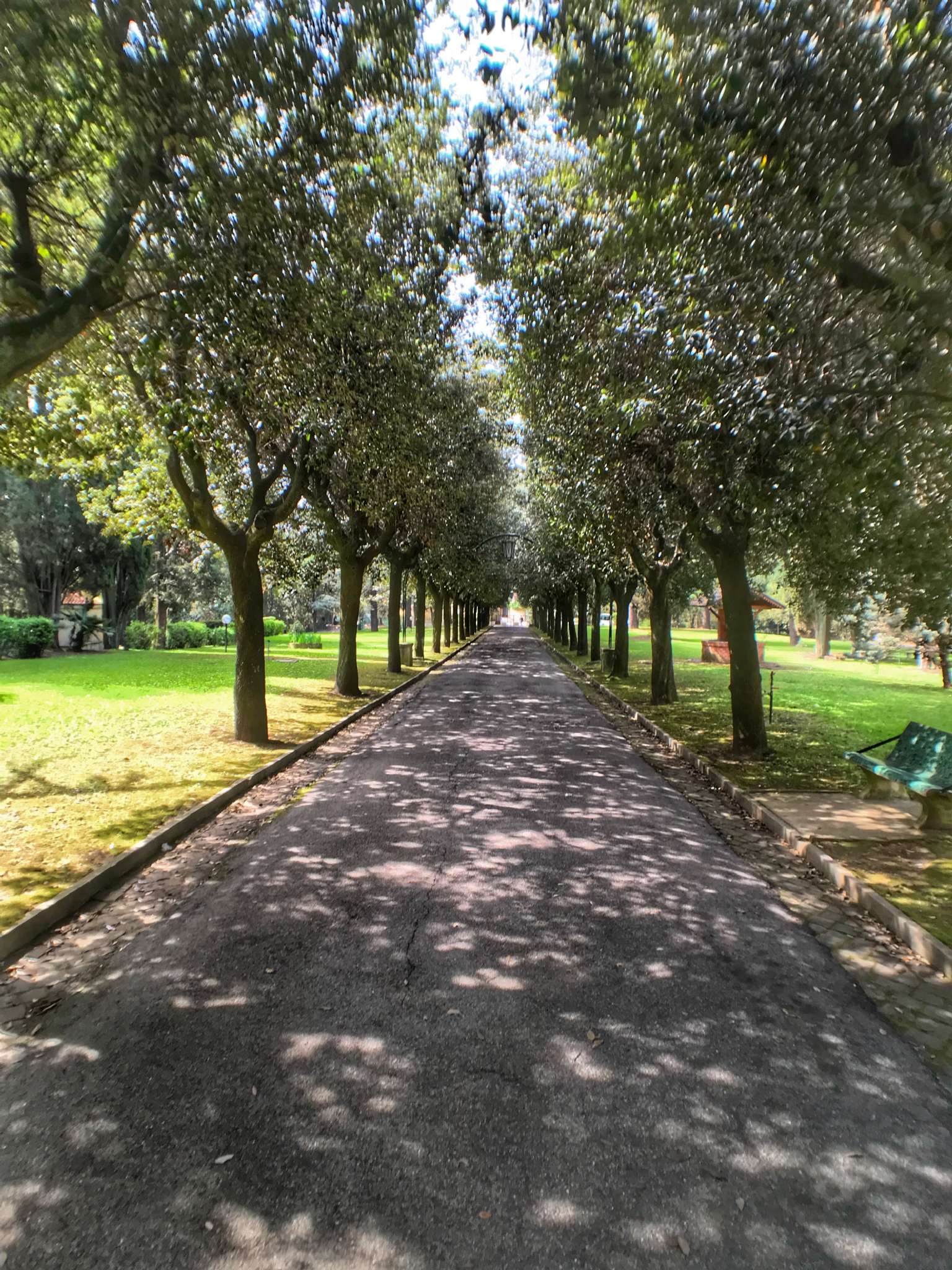 Appartamento ROMA affitto   della Camilluccia PROFESSIONISTI RE