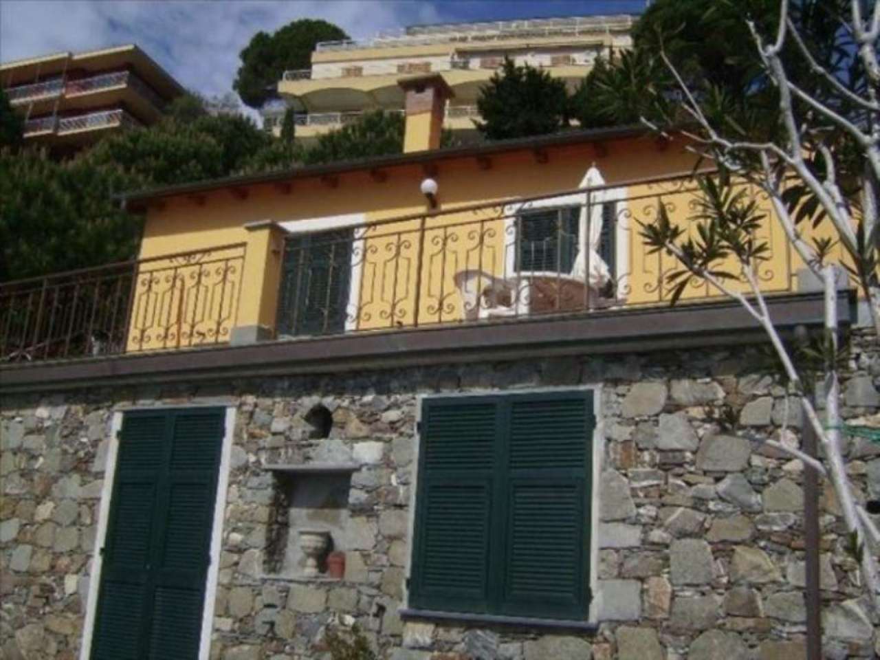 Villa MONEGLIA affitto    Levante Immobiliare