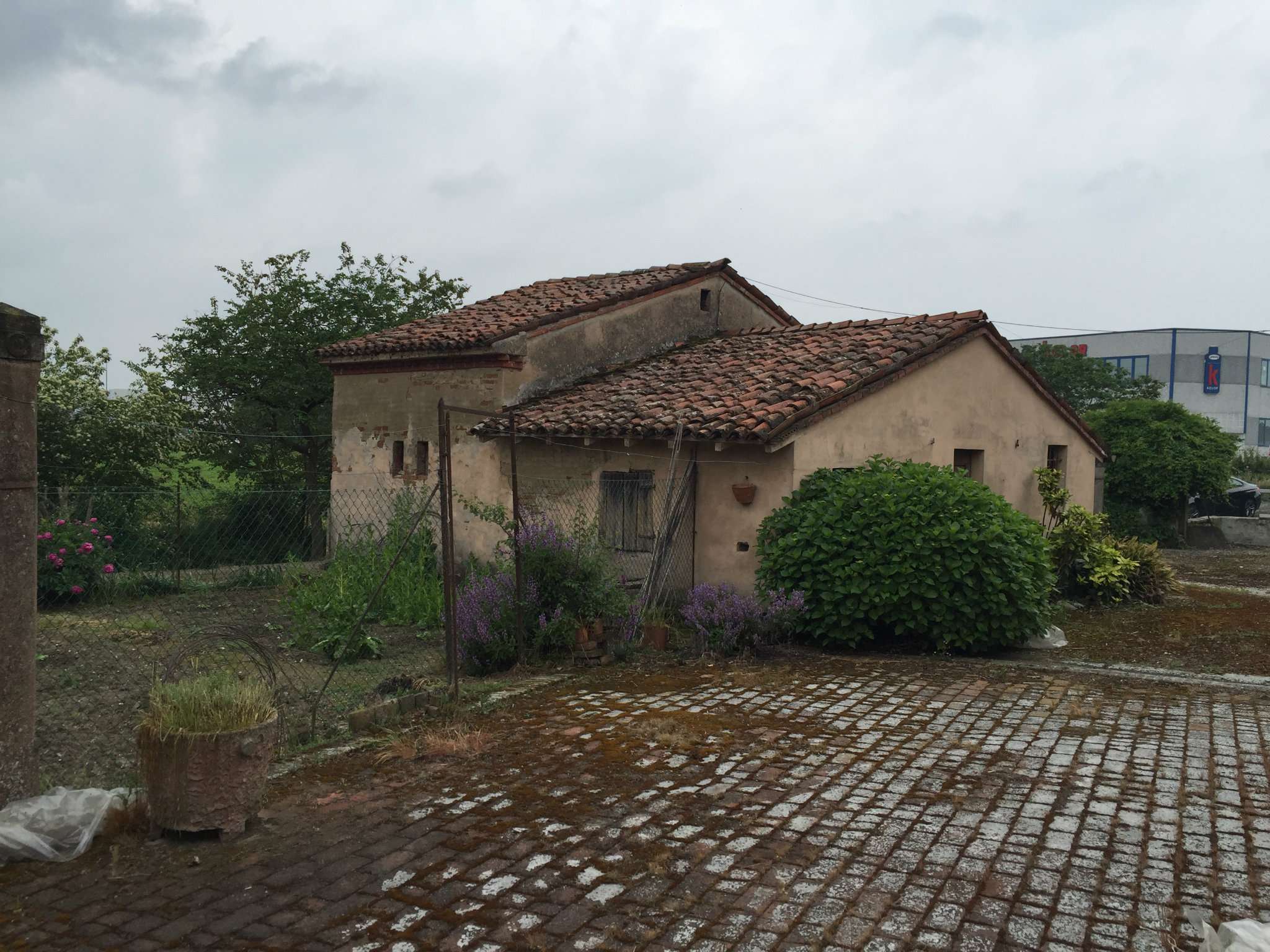 Rustico - Cascina VIADANA vendita   carlo pisacane Studio Casa Viadana