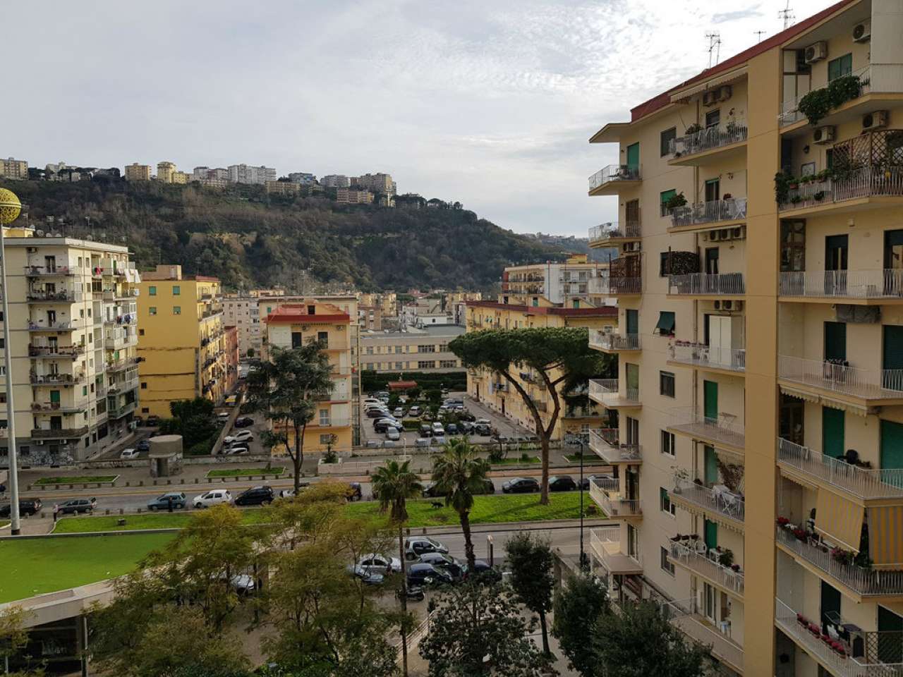 Appartamento NAPOLI vendita  Fuorigrotta VENIERO LEONARDO IMMOBILIARE AGENZIA NAPOLI