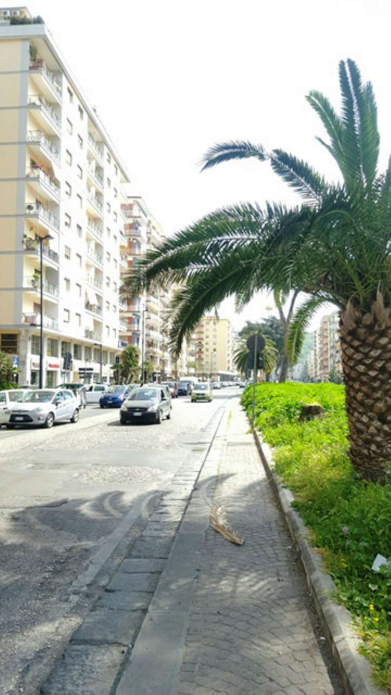  napoli affitto quart: bagnoli leonardo immobiliare agenzia napoli