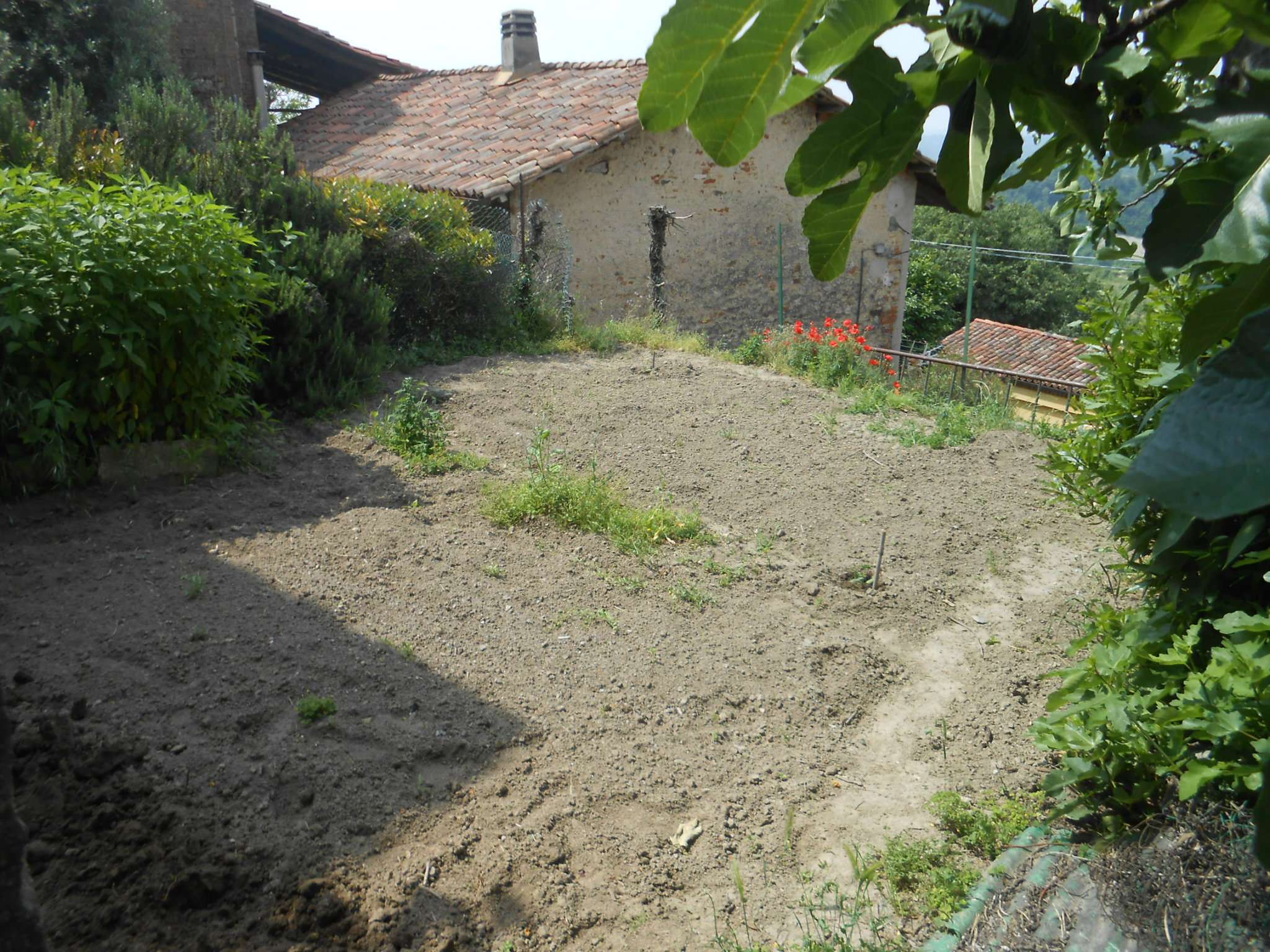 Villa Unifamiliare - Indipendente CASTELNUOVO DON BOSCO vendita   Albugnano La casa