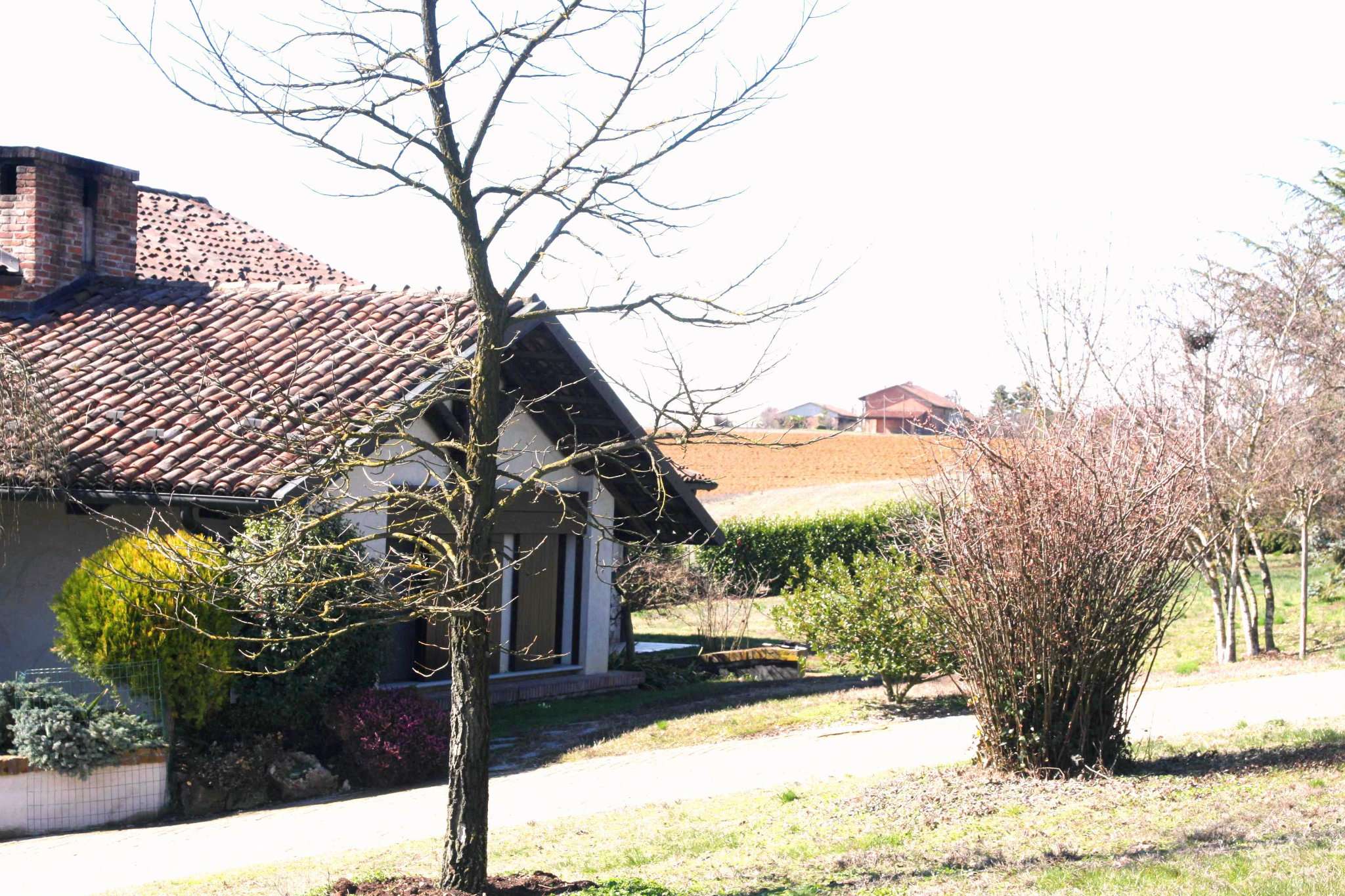 Villa Trifamiliare DUSINO SAN MICHELE vendita   dei Mulini La casa