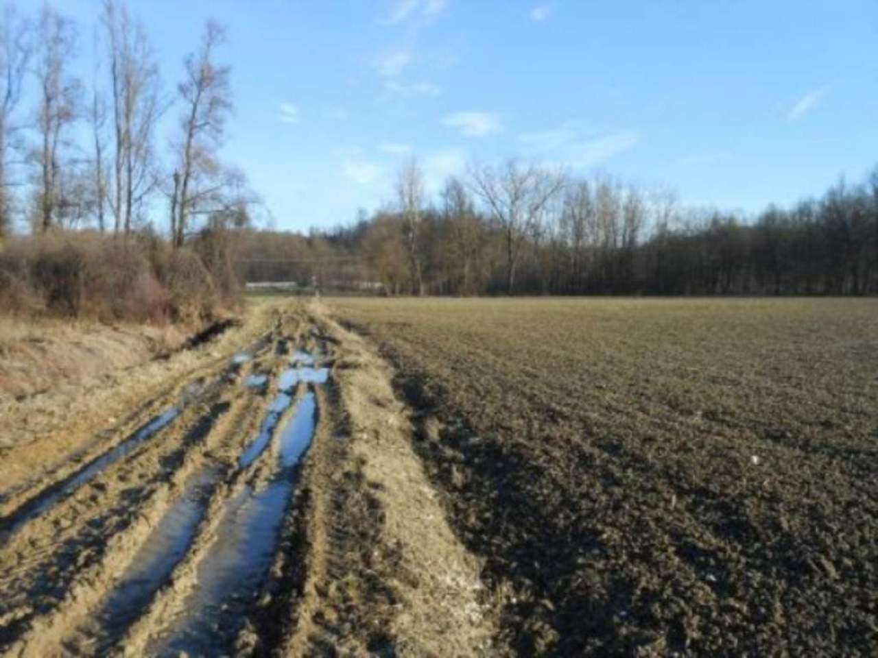 Rustico - Cascina CASTELNUOVO DON BOSCO vendita   Roma La casa