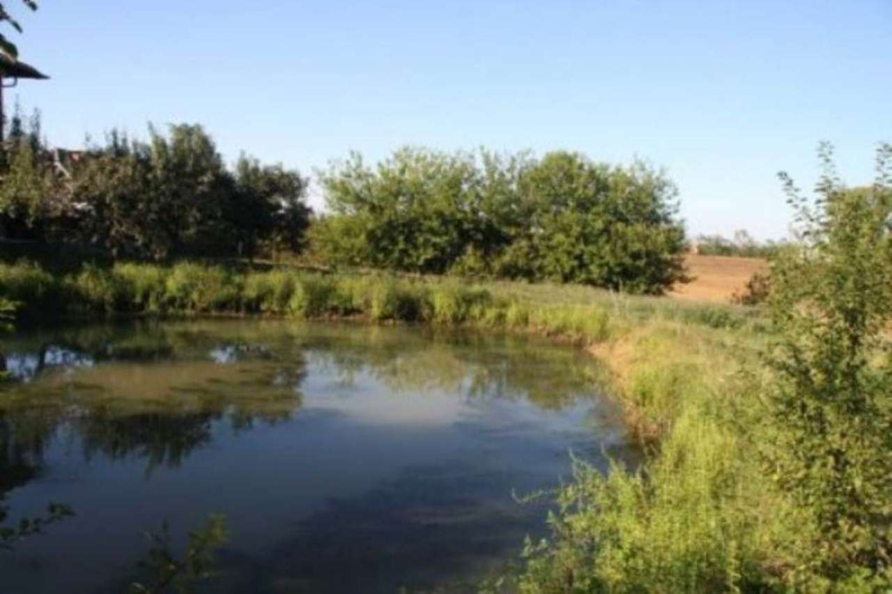 Rustico - Cascina PRALORMO vendita   Provinciale 134 La casa