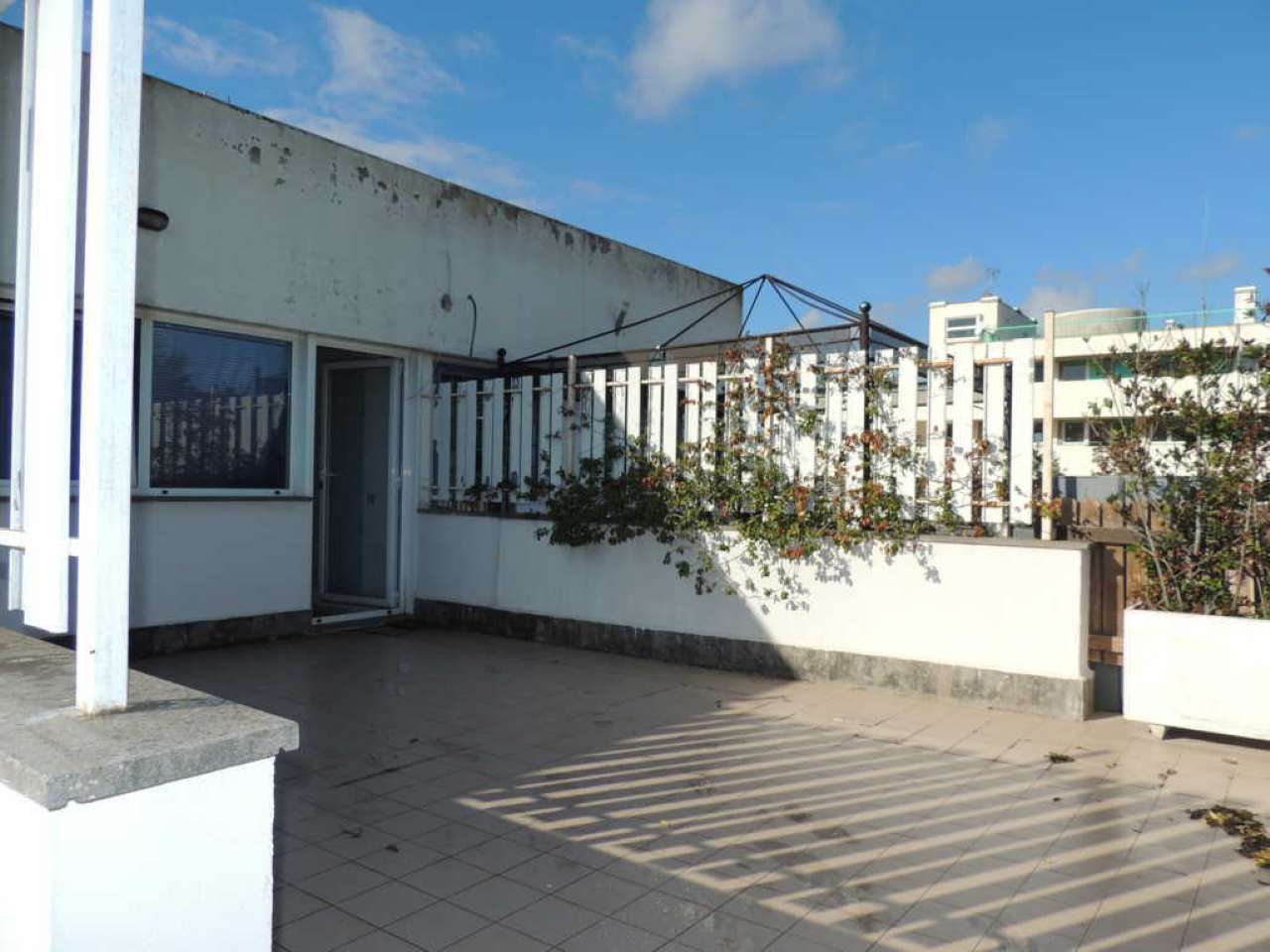  roma affitto quart: acilia futura-case-immobiliare