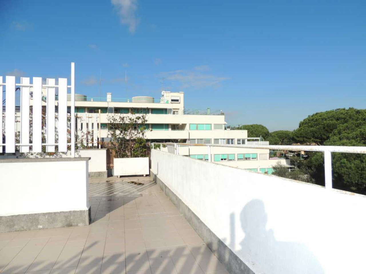 Ufficio - Loc.Com. ROMA affitto  ACILIA filippo il macedone FUTURA CASE IMMOBILIARE