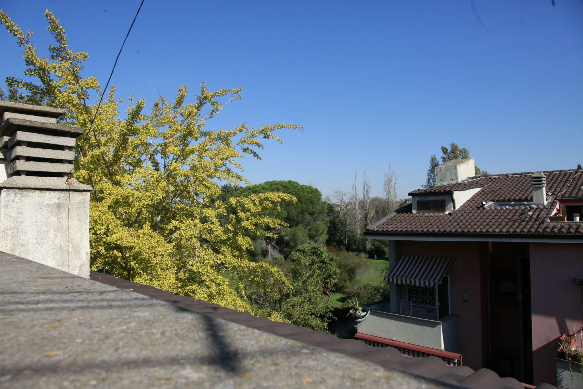 Villa Affiancata - Schiera ROMA vendita  AXA Tespi FUTURA CASE IMMOBILIARE