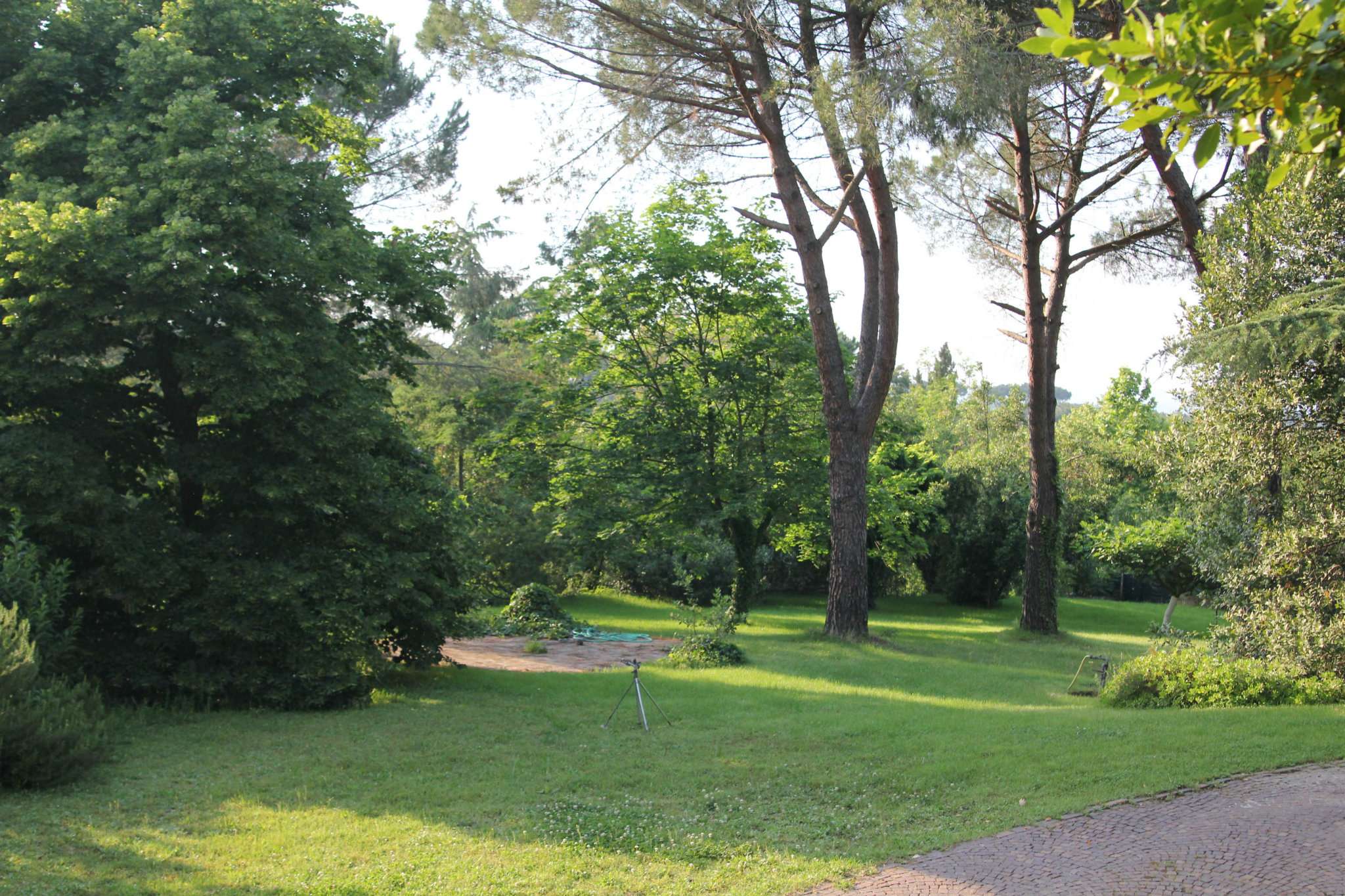 Villa ROMA affitto  LA GIUSTINIANA(ZONA DELLA XX MUN.) GIUSTINIANA VIA ITALO PICCAGLI MaximaRe