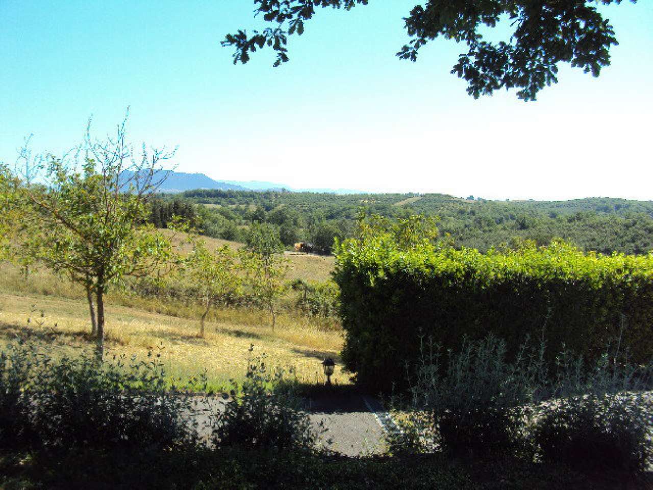 Villa MAZZANO ROMANO vendita   PARCO DEL TREJA MaximaRe