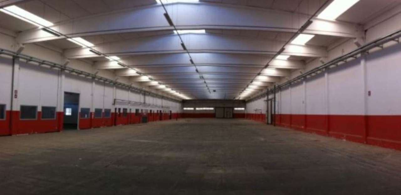 Capannoni (Tutti) NOVARA affitto   Emilio Wild ENNEGI STUDIO  SRL