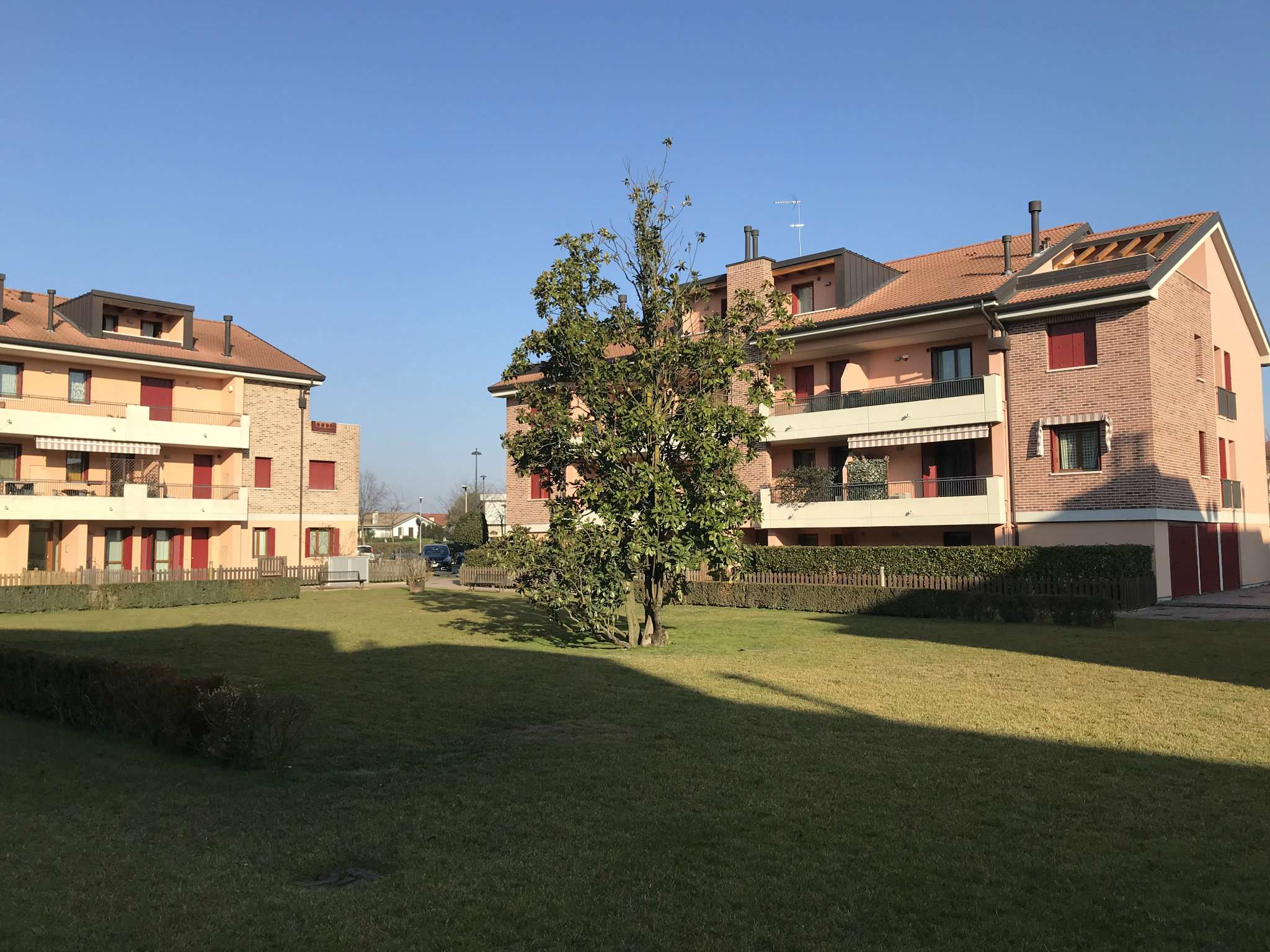 Appartamento VIGONZA vendita    La Fonte Immobiliare