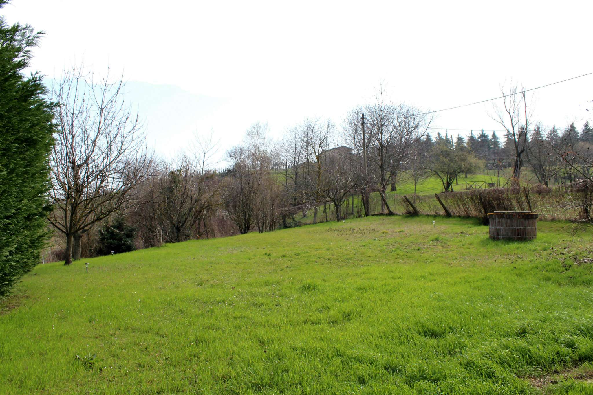 Villa SANTA MARIA DELLA VERSA affitto   della concordia Negri Immobili