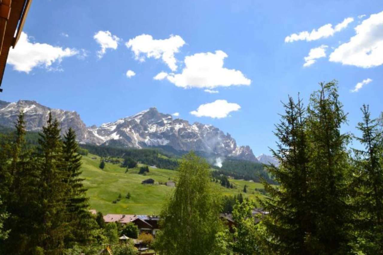 Appartamento BADIA vendita   Boscdaplan AGENZIA IMMOBILIARE DOLOMITI S.r.l.