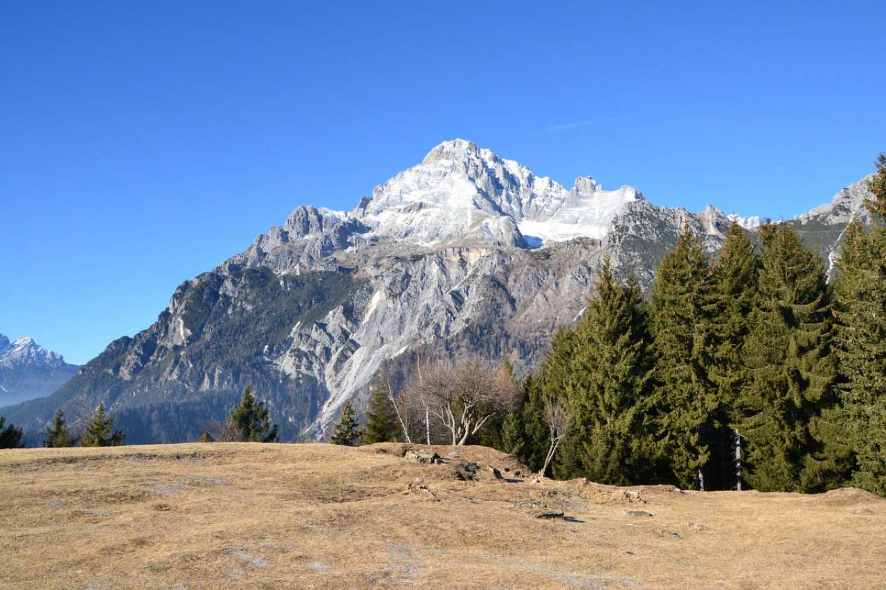 Appartamento VALLE DI CADORE vendita    AGENZIA IMMOBILIARE DOLOMITI S.r.l.