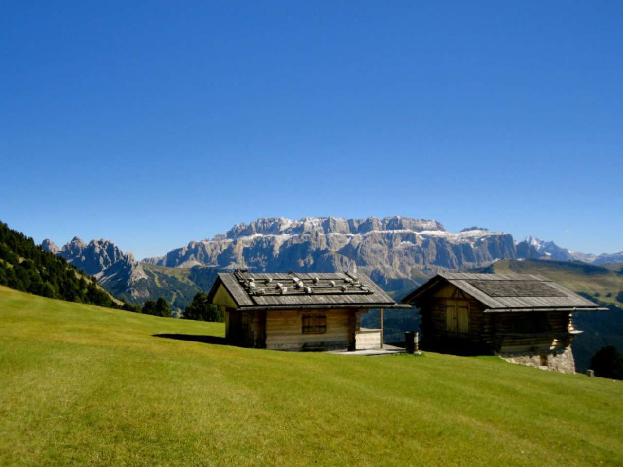 Appartamento SANTA CRISTINA VALGARDENA affitto    AGENZIA IMMOBILIARE DOLOMITI S.r.l.