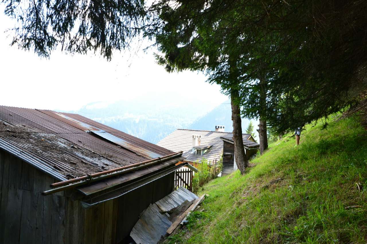 Villa Unifamiliare - Indipendente LIVINALLONGO DEL COL DI LANA vendita   Bivio di Salesei AGENZIA IMMOBILIARE DOLOMITI S.r.l.