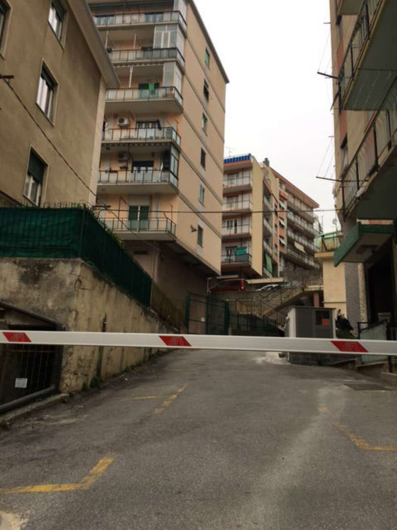 Appartamento SAVONA vendita   Mignone Guerrazzi Immobiliare