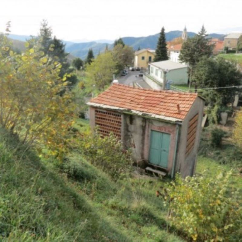 Rustico - Cascina NE vendita    A.M.I.C.A. sas