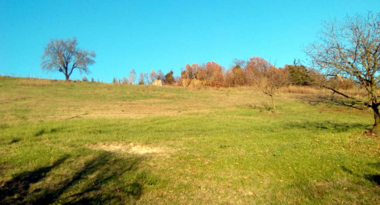 Villa Unifamiliare - Indipendente BERTINORO vendita   Loreta Agenzia Immobiliare CENTRO Affitti & Vendite - Servizi Immobiliari