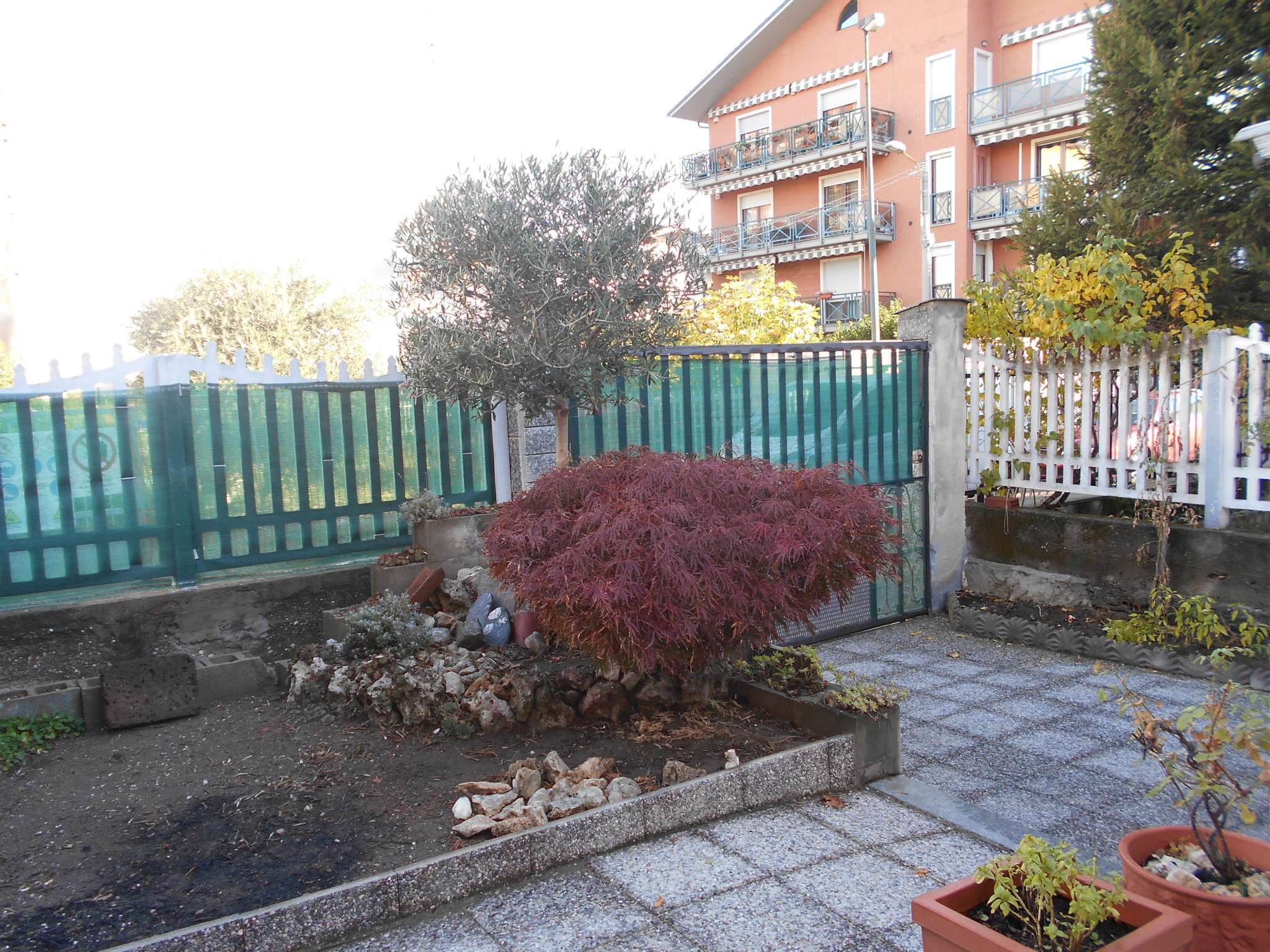 Villa Unifamiliare - Indipendente COLLEGNO vendita   Piave Professionecasa - Immobiliare Parella S.A.S.