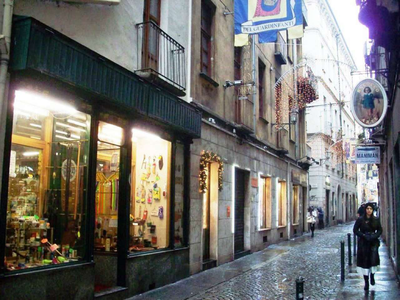  torino affitto quart: centro attico-sistemi