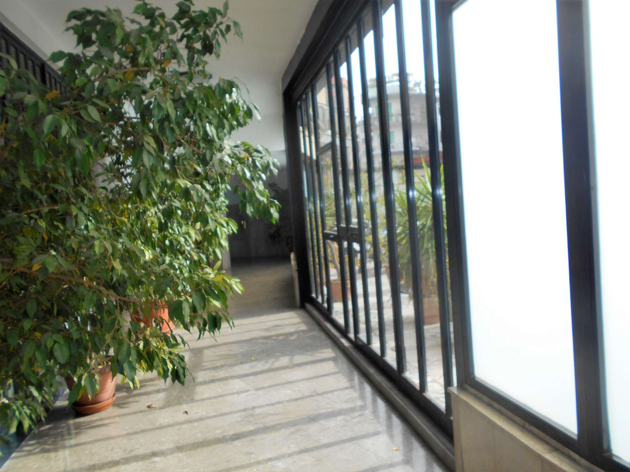 Ufficio - Loc.Com. NAPOLI affitto  MERGELLINA VITTORIO EMANUELE Marinelli & Balzerano srl