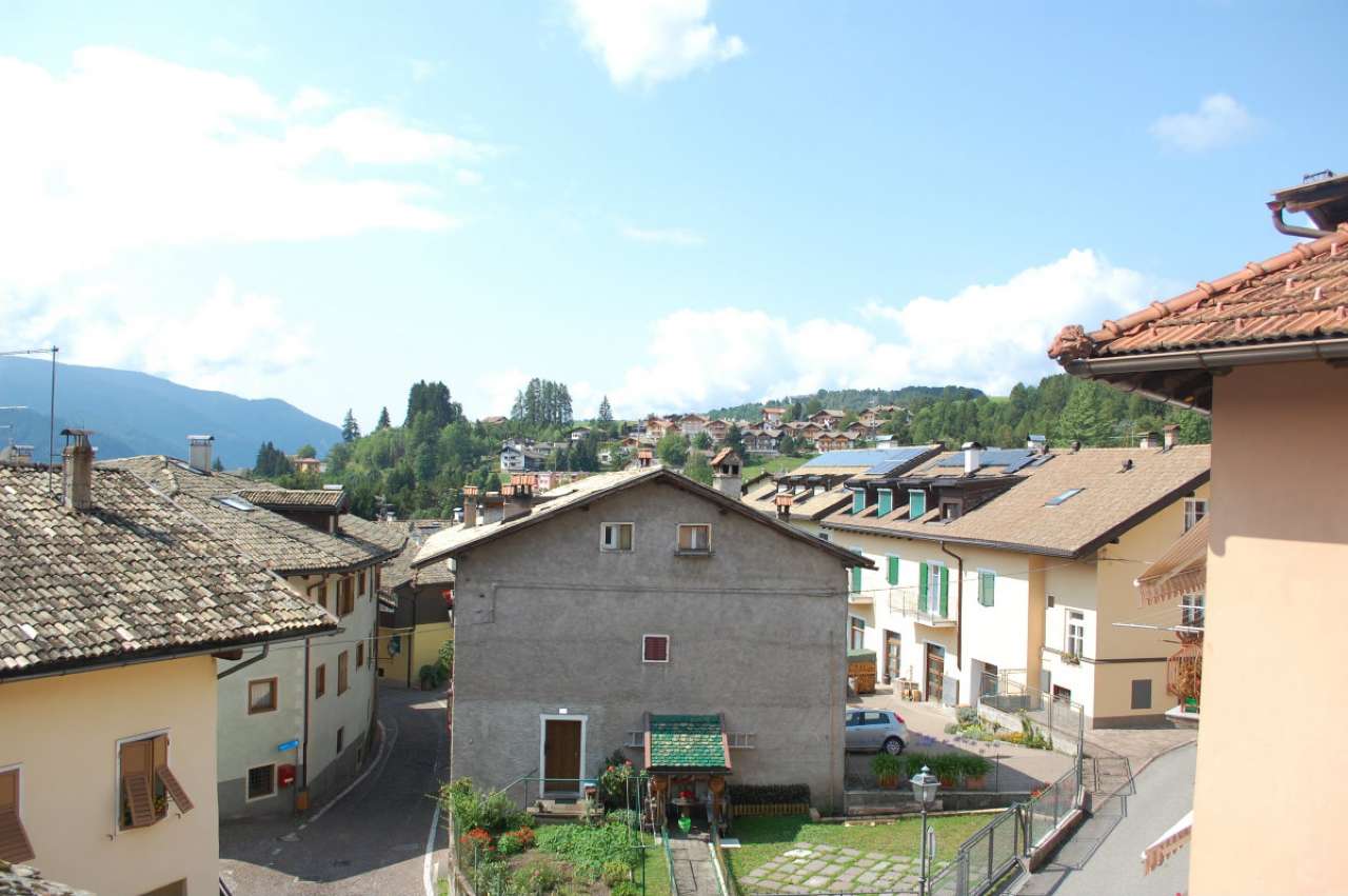 Mansarda - Sottotetto - Soffitta - Solaio CAVALESE vendita   Baldieroni Agenzia Immobiliare Predazzo Casa s.r.l.