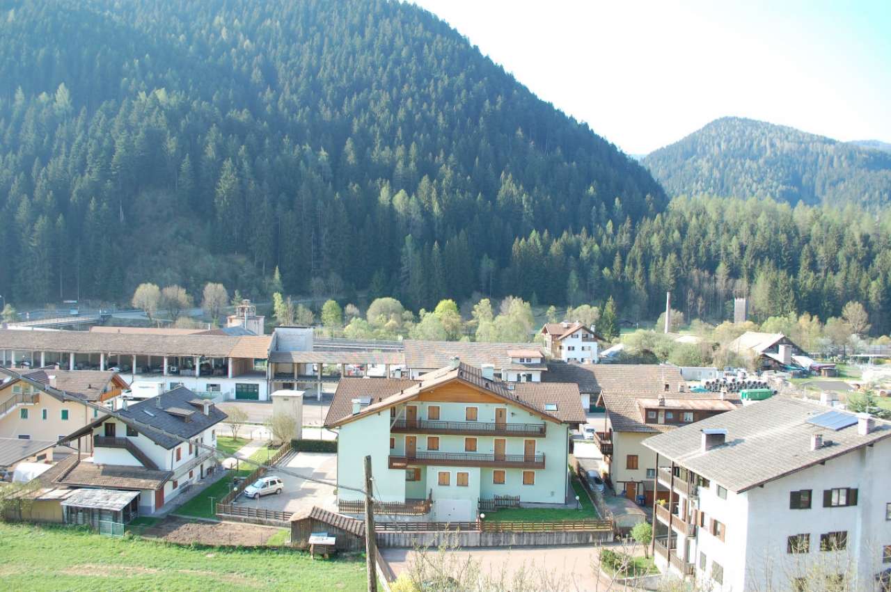 Mansarda - Sottotetto - Soffitta - Solaio CASTELLO-MOLINA DI FIEMME vendita   Weber Aquilino Agenzia Immobiliare Predazzo Casa s.r.l.