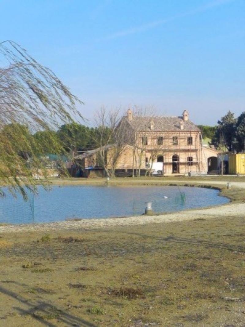  cervia vendita quart:  immobili-cappelli-s.r.l.