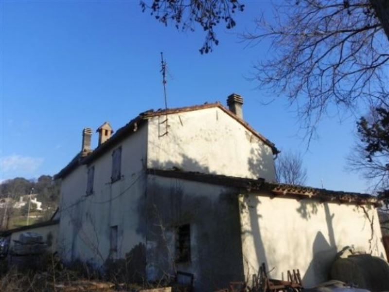 Rustico - Cascina BERTINORO vendita    IMMOBILI CAPPELLI S.R.L.