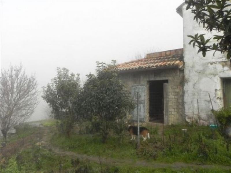 Villa Unifamiliare - Indipendente BERTINORO vendita    IMMOBILI CAPPELLI S.R.L.