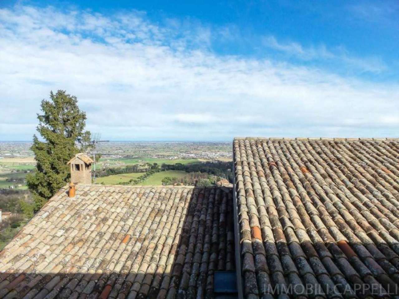  bertinoro vendita quart:  immobili-cappelli-s.r.l.