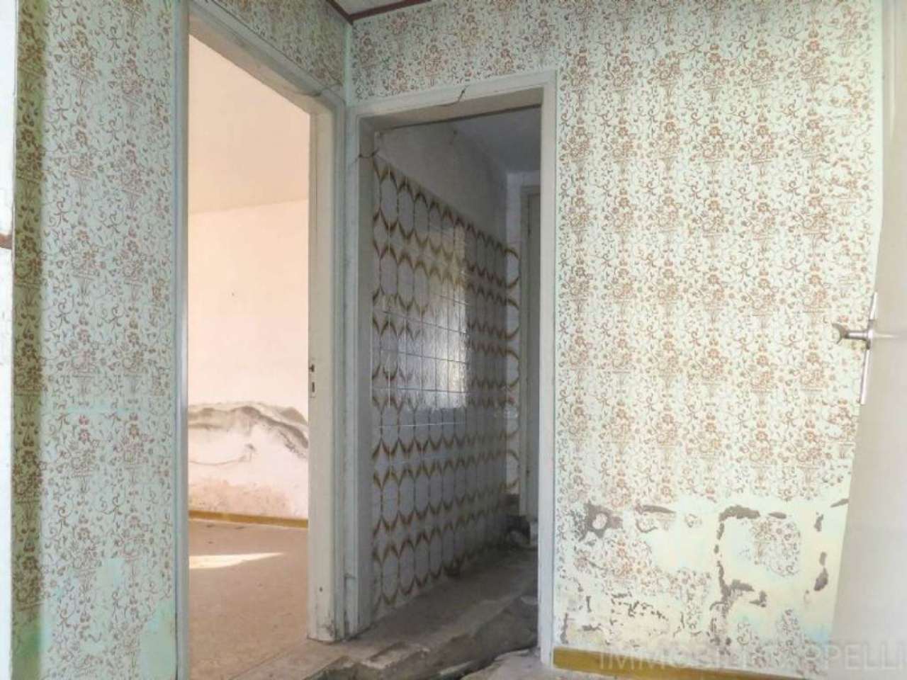 Villa Unifamiliare - Indipendente FORLIMPOPOLI vendita   della madonna IMMOBILI CAPPELLI S.R.L.