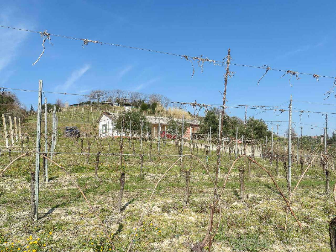  bertinoro vendita quart:  immobili cappelli s.r.l.