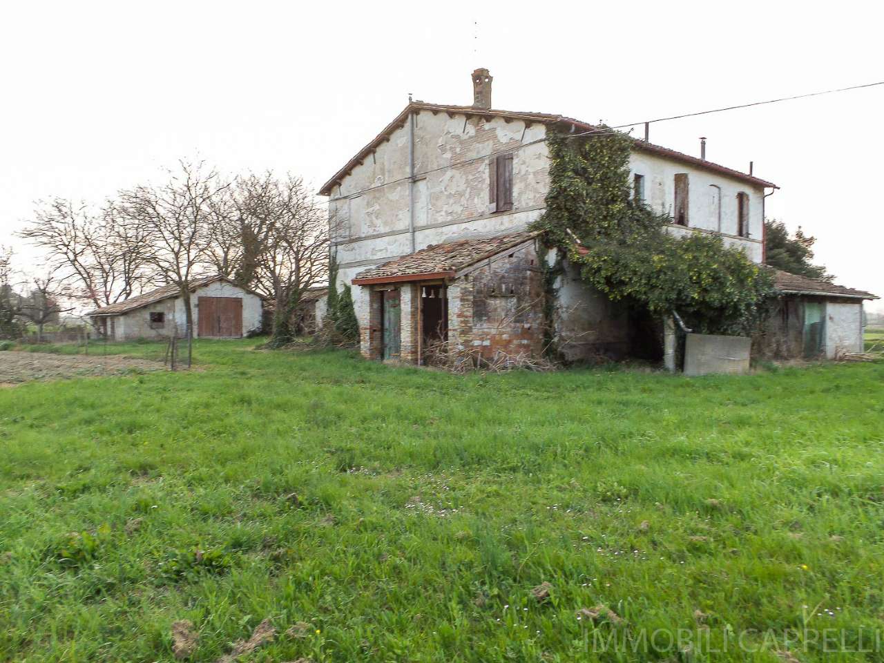 Villa Unifamiliare - Indipendente FORLIMPOPOLI vendita   Nuove Fondine IMMOBILI CAPPELLI S.R.L.