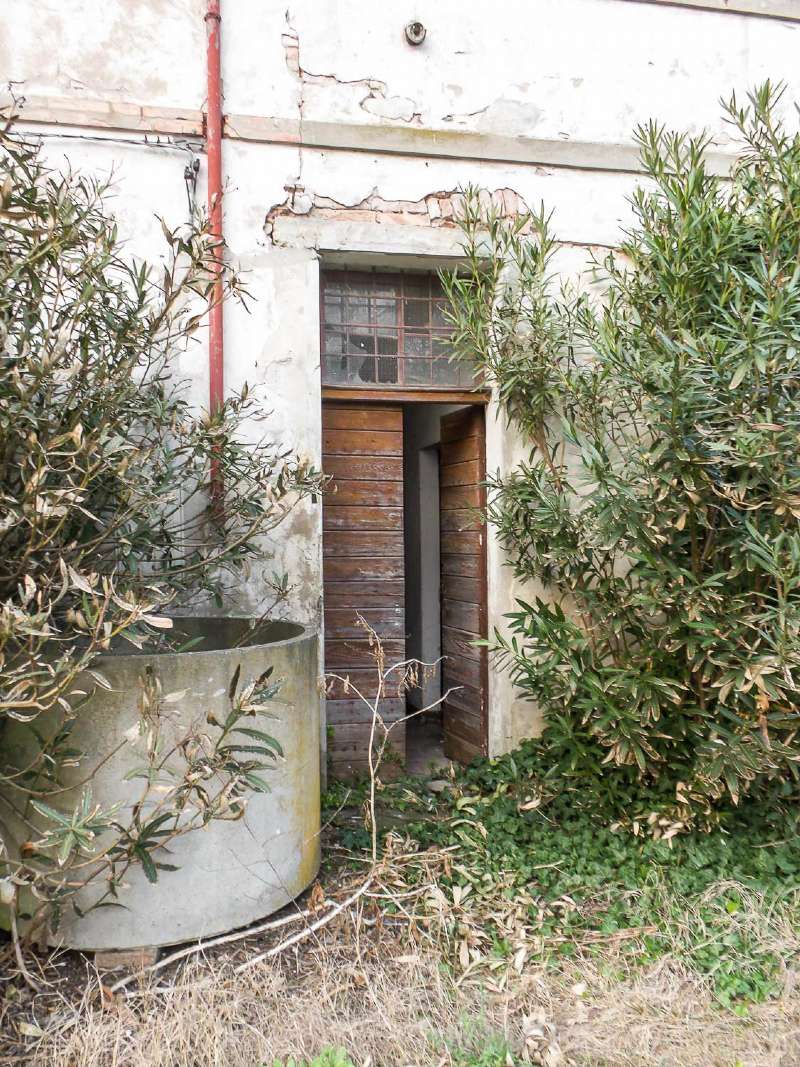 Villa Unifamiliare - Indipendente FORLIMPOPOLI vendita   Nuove Fondine IMMOBILI CAPPELLI S.R.L.