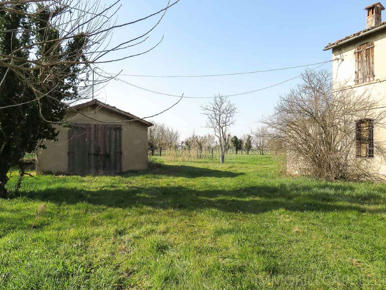 Villa Unifamiliare - Indipendente FORLIMPOPOLI vendita   Via Cellaimo IMMOBILI CAPPELLI S.R.L.