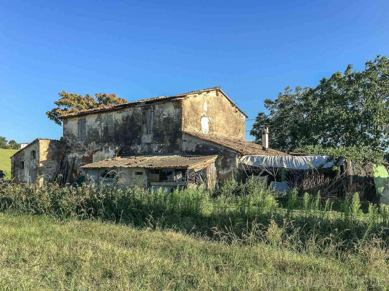 Villa Unifamiliare - Indipendente BERTINORO vendita   ausa IMMOBILI CAPPELLI S.R.L.