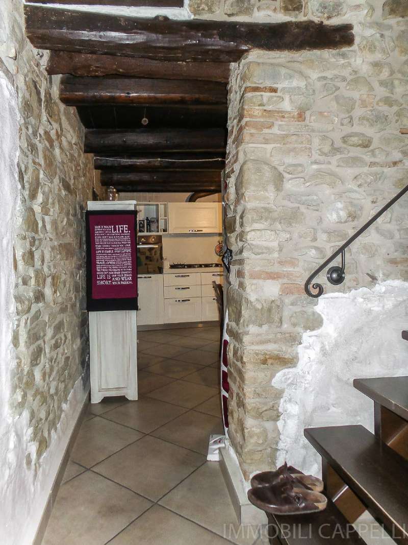 Stabile intero - Palazzo BERTINORO vendita   Collinello IMMOBILI CAPPELLI S.R.L.
